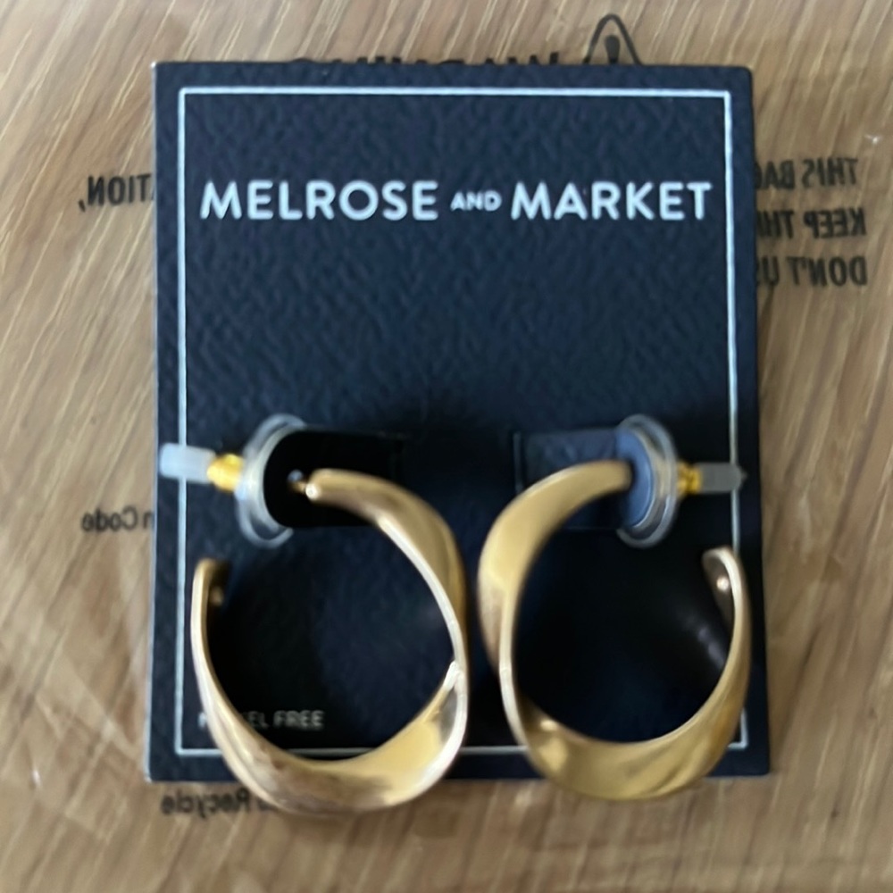 Brand New, Never Worn, Earrings from Nordstrom